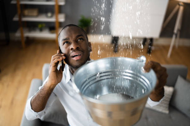 Best Carpet water damage restoration  in Buffalo, MO