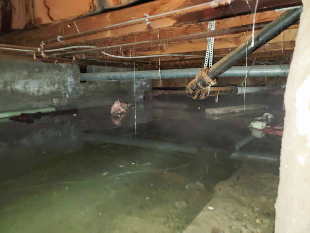 Water damage restoration mold remediation in MO