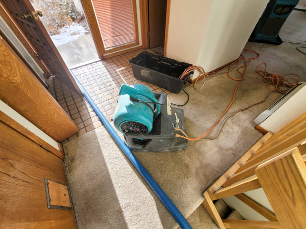 Best 24-hour water damage restoration  in Buffalo, MO