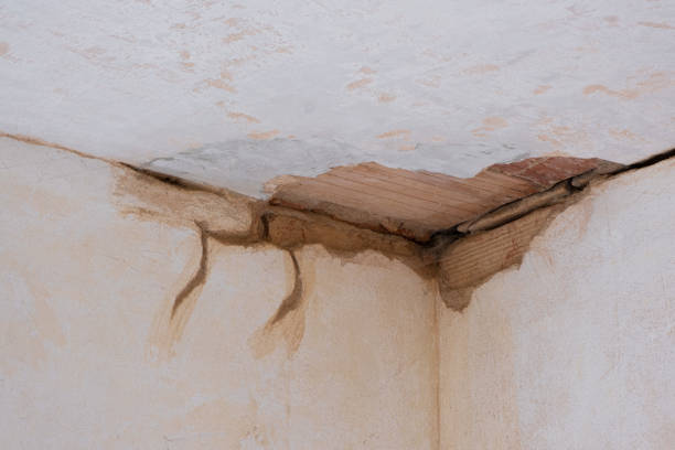 Best Fire Damage Restoration  in Buffalo, MO