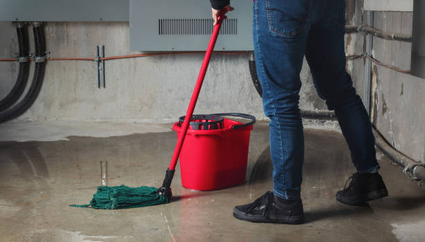 Best Professional water damage repair  in Buffalo, MO