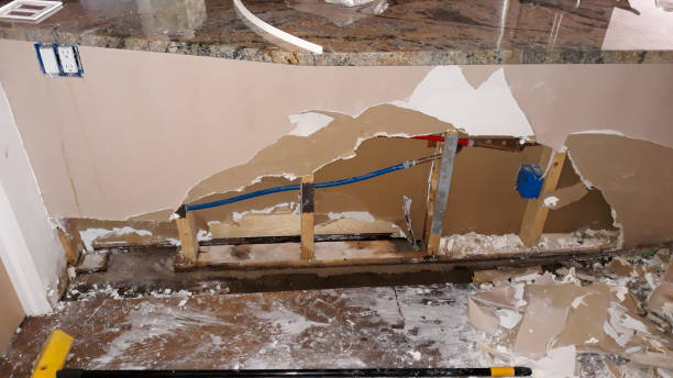 Best Flood restoration services  in Buffalo, MO