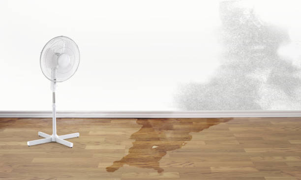 Best Residential water damage restoration  in Buffalo, MO