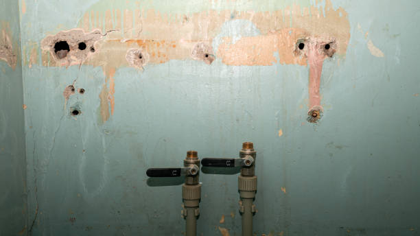Best Mold removal after water damage  in Buffalo, MO