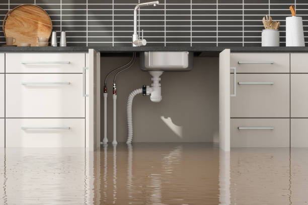 Best Water damage restoration mold remediation  in Buffalo, MO