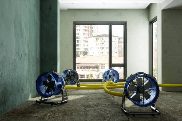 Best Ceiling water damage repair  in Buffalo, MO